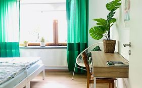 Eifel-House - Fewo